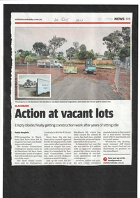 Article, Action At Vacant Lots, 2017