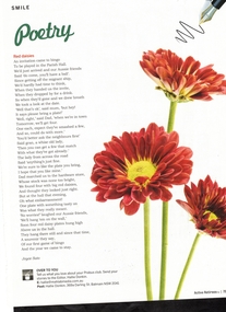 Article, Red Daisies, n.d