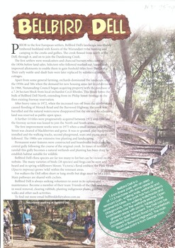 A description of Bellbird Dell 