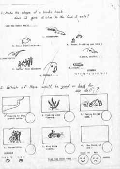 Bellbird Dell - Vermont : Junior activity sheet,
