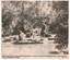 Photographic description of Bellbird Dell as a haven for residents and habitat for birds.