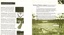 Programme for three weeks of activities at the 1996 Mullum Mullum Festival.