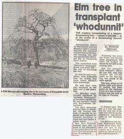 An 80 year old weeping elm tree was removed from Wunderlich Tile Factory, Mitcham Rd to Campells Croft Reserve costing $17,000 which caused displeasure at a meeting at the Council of Nunawading.