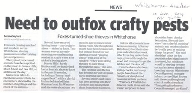 Article, Foxes, 2019