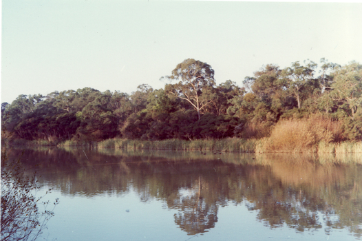 Coloured photo of Blackburn Lake.