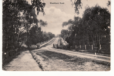 Postcard - Black and white postcard, Blackburn Road Circa 1908, C1914