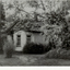 B/W photo of old house at 'Sevenoaks' 107 Blackburn Road between Jeffrey Street and Naughton Grove. This was the home of late Mr.Cyril & Mrs Mary Anne Jeffrey - 'Sevenoaks'. Demolished in 1970