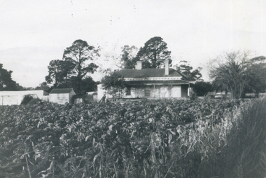 Photograph, Mr. William Tilson's home, 1/06/1969 12:00:00 AM