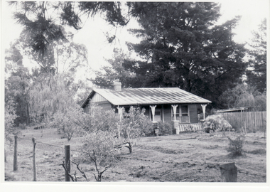 Black and white photo of old house and remnant of orchard in Lake road, Blackburn
