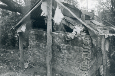 Photograph, Campbell's Wattle and Daub Hut, C.1970