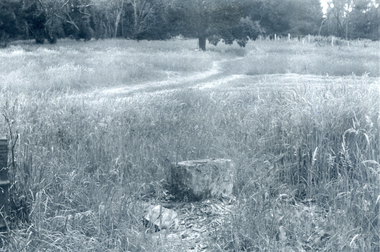 Photograph, Chopping block, C.1970