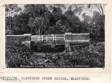 Black and white postcard entitled Blackburn Creek Blackburn. 