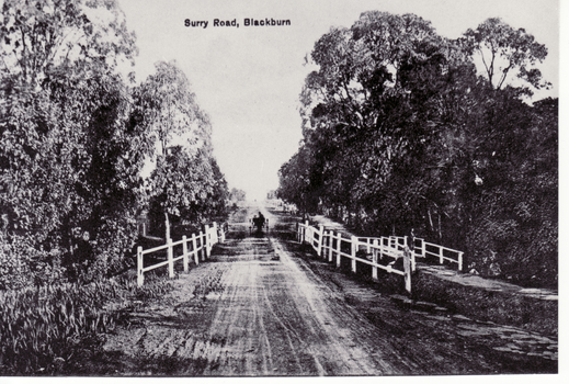 Black and white photo of Surrey Road, Blackburn (captioned Surry Road (sic))