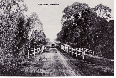 Black and white photo of Surrey Road, Blackburn (captioned Surry Road (sic))