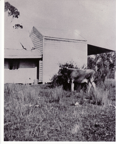 Photograph, Slater's Cottage