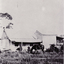 3 copies of black and white photo of Slater's Cottage in Blackburn with horse in foreground.