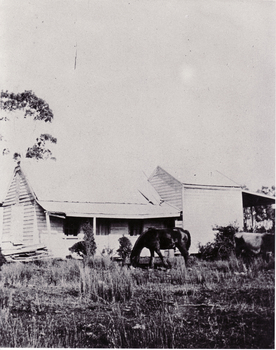 3 copies of black and white photo of Slater's Cottage in Blackburn with horse in foreground.