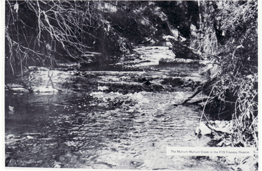 Black and white photo of Mullum Mullum Creek at Yarran Dheran in Freeway Reserve. reserve