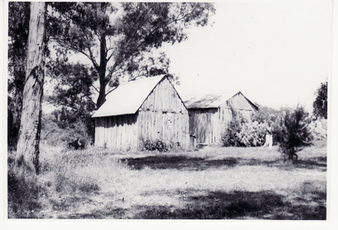 Photograph, Schwerkolt Cottage Barn and Blacksmith's Workshop, 1973