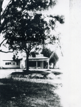 Mrs Jenning's Sweet Shop in group shops on west side of Boronia Road and south of Canterbury Road, Vermont.
