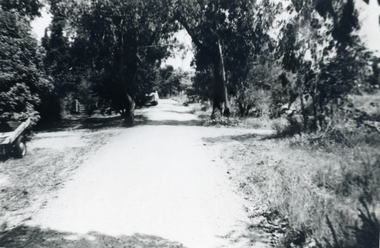 Photograph, Canterbury Road, C.1967