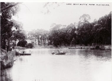 Black and white postcard of Blackburn Lake entitled 'Lake, Deaf Mutes' Farm, Blackburn'  