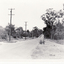 Black and white photograph of Blackburn Road looking south from Canterbury Road in January 1960. Note lampposts  and made footpath on the left side.