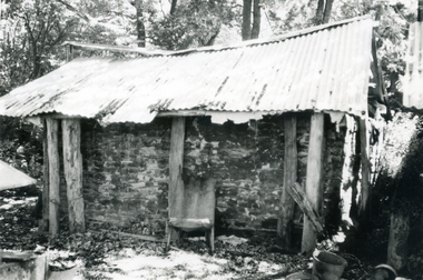Photograph, Campbell's Croft, 1960s