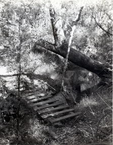 Photograph, Vermont Scene