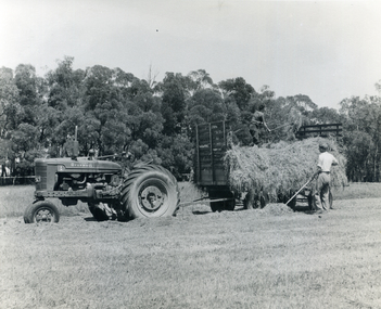 Photograph, 'Uplands'