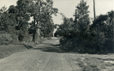 Photograph, Mt. Pleasant Road, Nunawading