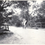 Black and white photo of bridge over Lake Road, Blackburn