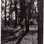 Black and white photo of Blackburn Lake