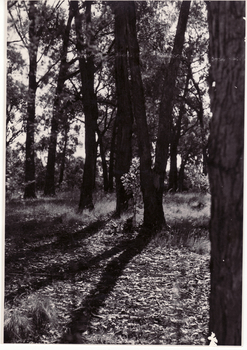 Black and white photo of Blackburn Lake