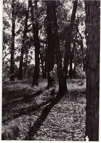 Black and white photo of Blackburn Lake