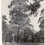 Black and white photo of Blackburn Lake
