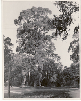 Black and white photo of Blackburn Lake