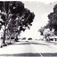 lack and white photo of Whitehorse Road, Mitcham looking east.  Approaching Mitcham Road from Nunawading (Tunstall) in Whitehorse Road.