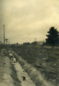 Photograph, Nunawading Shop, C1930s