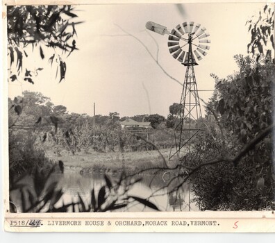  Livermore's house and orchard,
