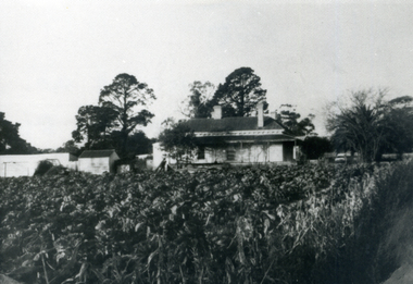 Photograph, Old House and Garden, 1/06/1969 12:00:00 AM
