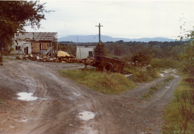 Photograph, Livermore's Orchard