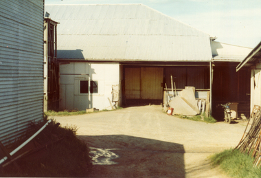 Photograph, Livermore's Orchard