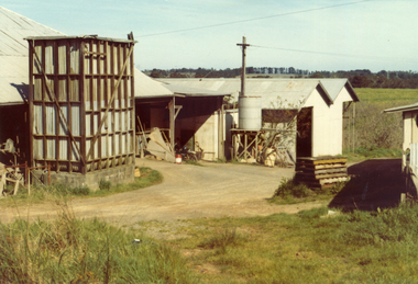 Photograph, Livermore's Orchard