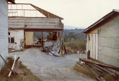 Photograph, Livermore's Orchard