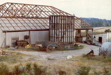 Photograph, Livermore's Orchard