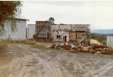 Photograph, Livermore's Orchard