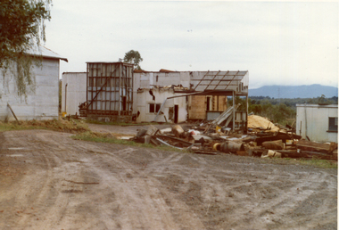 Photograph, Livermore's Orchard