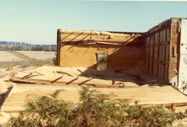 Photograph, Livermore's Orchard