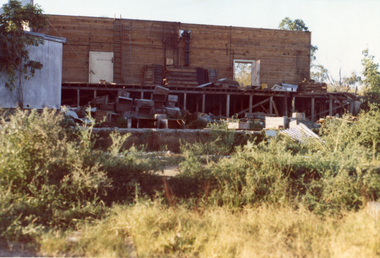 Photograph, Livermore's Orchard